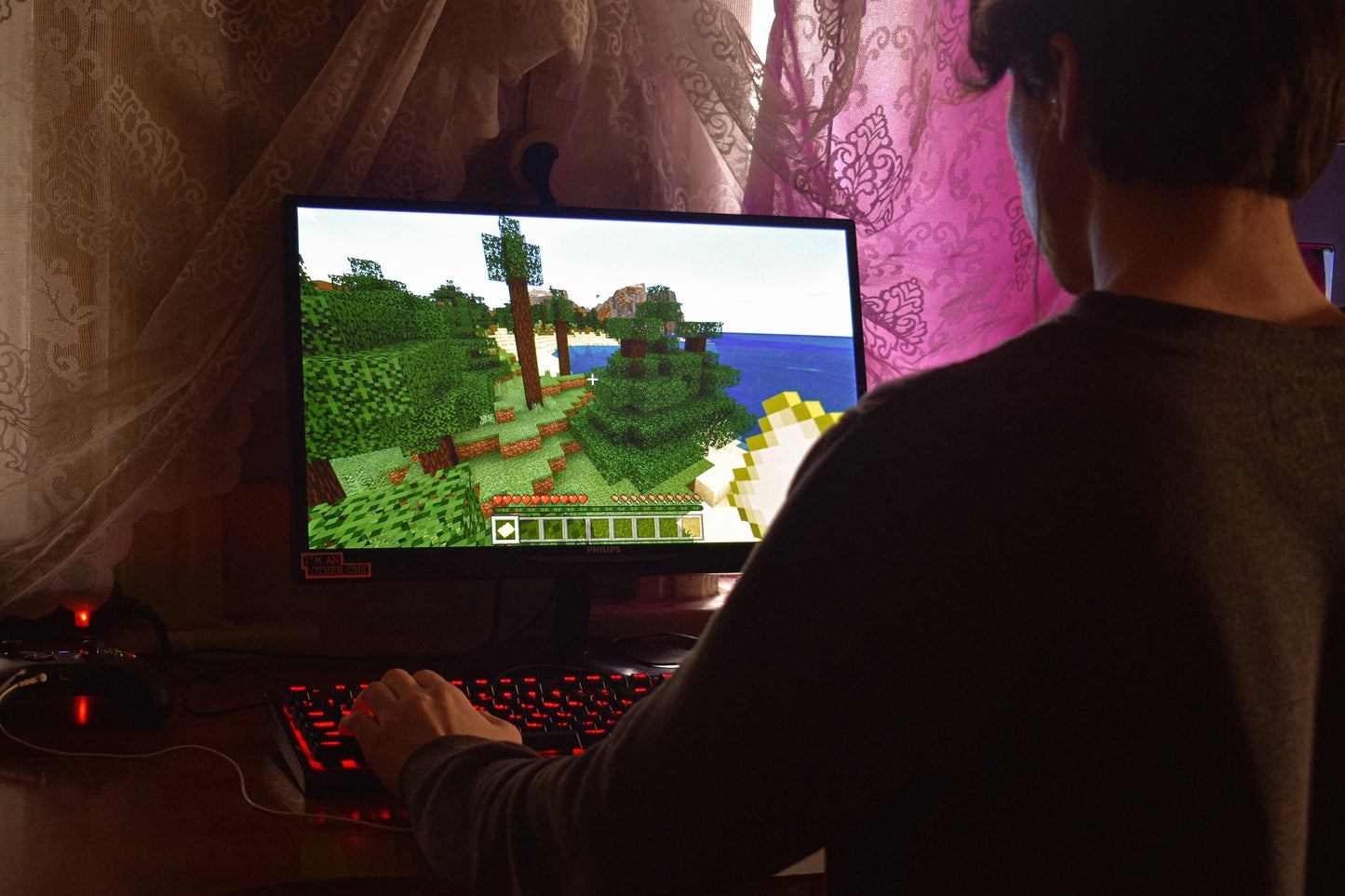 1:1 Minecraft Coaching Session